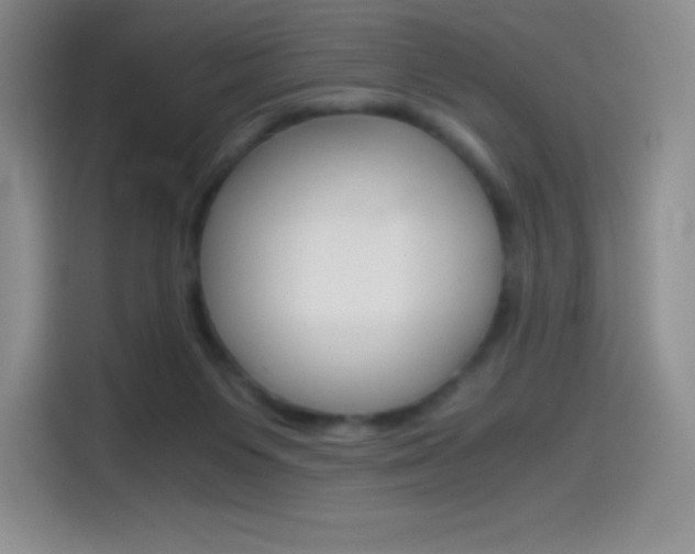 X0000114600119200910191102