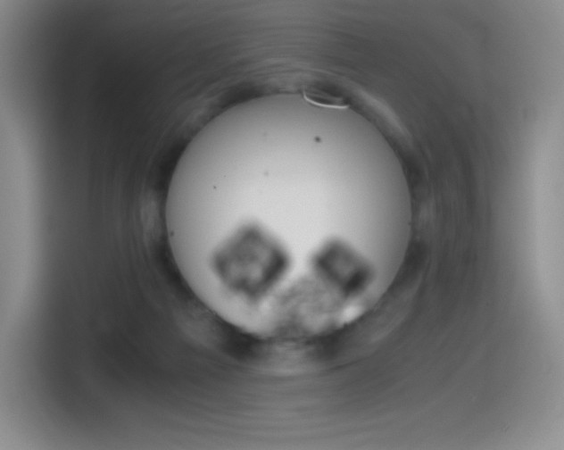 X0000114600121200910191102