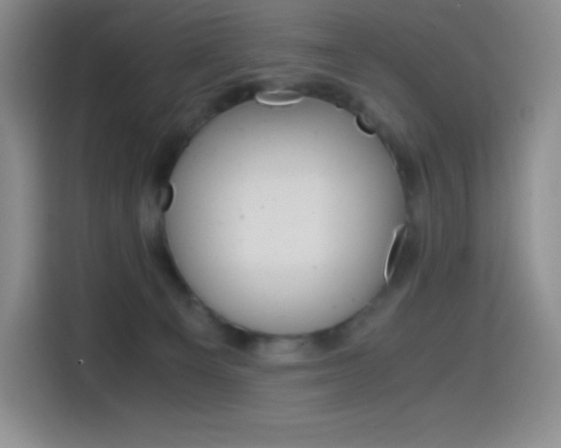 X0000114600129200910191102