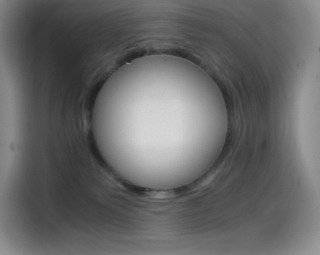 X0000114600135200910191102