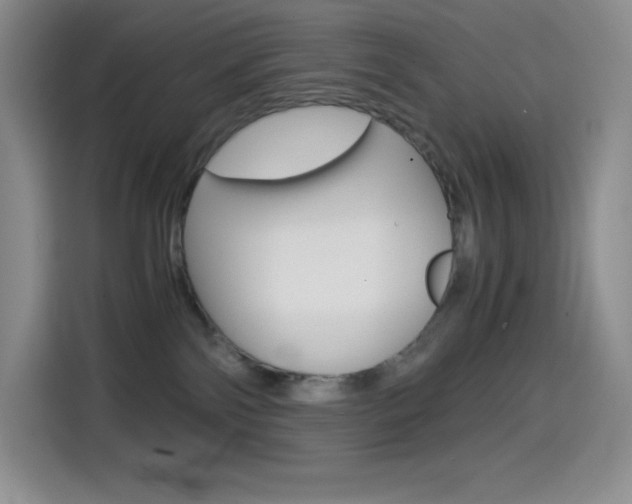 X0000114600138200910191102