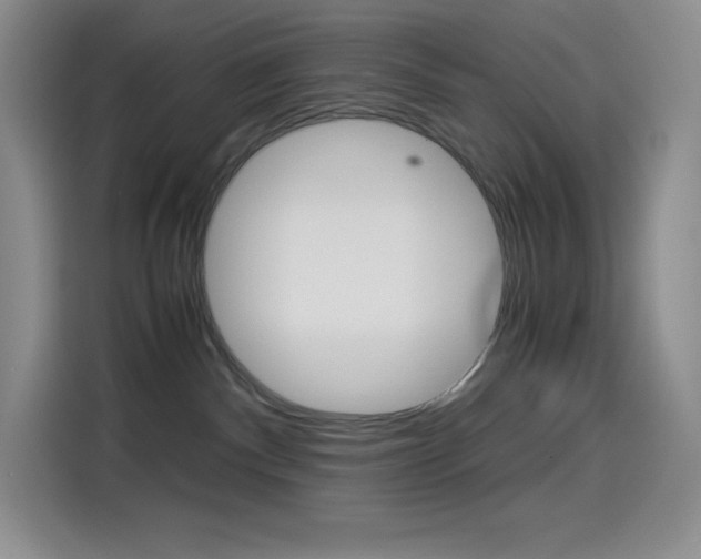 X0000114600140200910191102