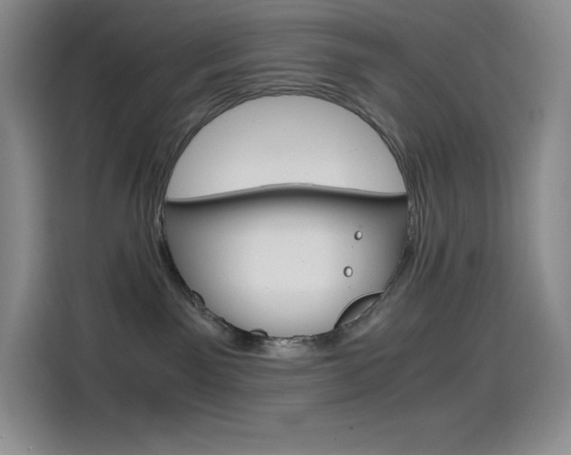 X0000114600141200910191102