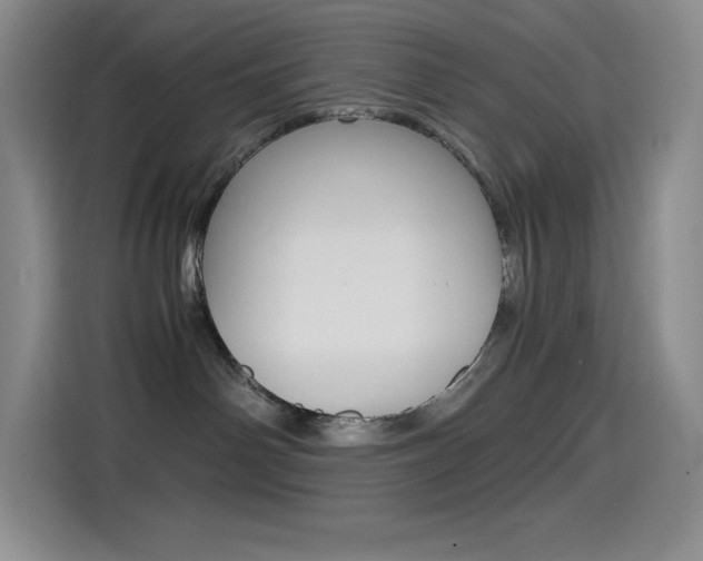 X0000114600142200910191102