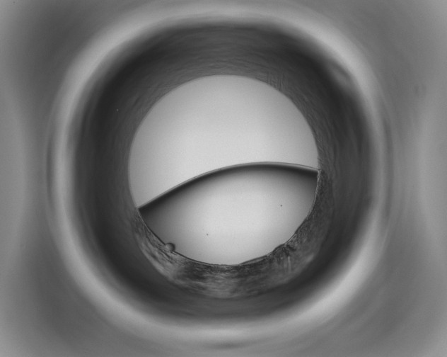 X0000114600143200910191102