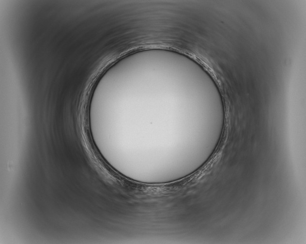 X0000114600145200910191101