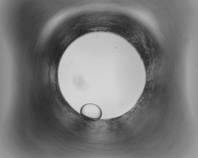 X0000114600146200910191101