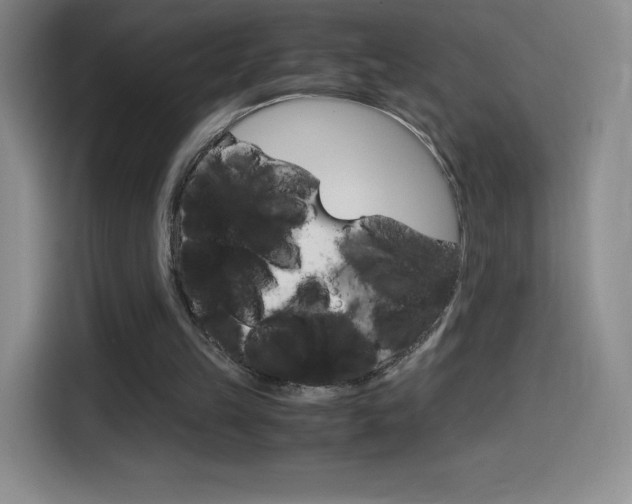 X0000114600149200910191101