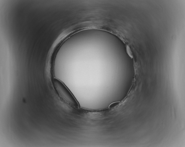 X0000114600150200910191101