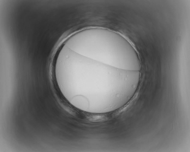 X0000114600151200910191101