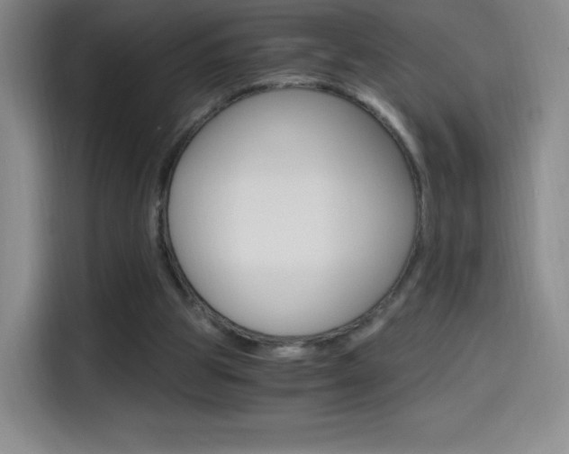 X0000114600153200910191101