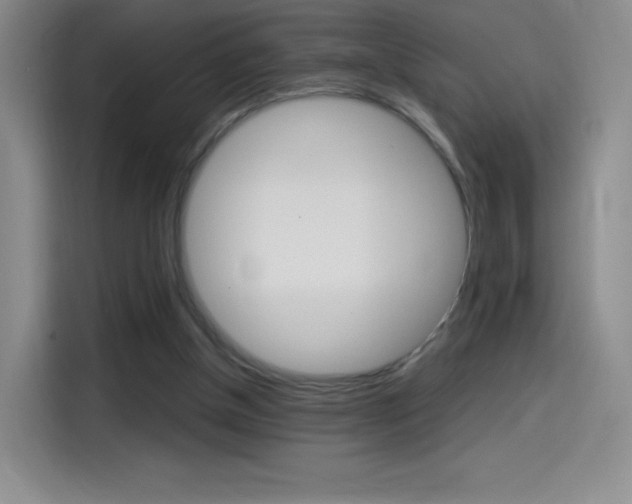 X0000114600154200910191101