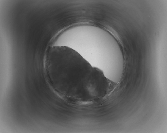 X0000114600155200910191101