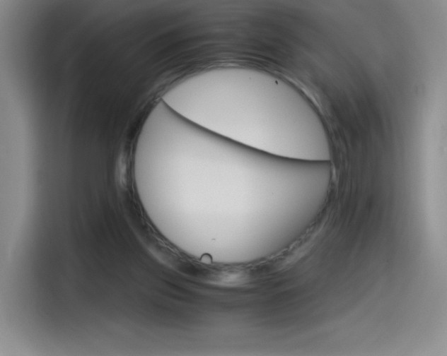 X0000114600157200910191101