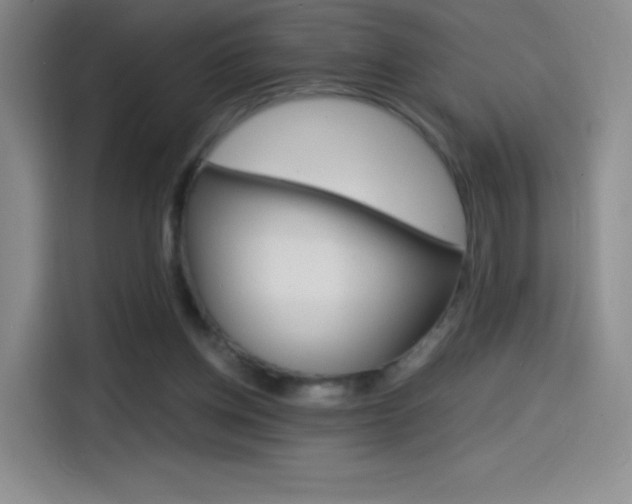 X0000114600158200910191101