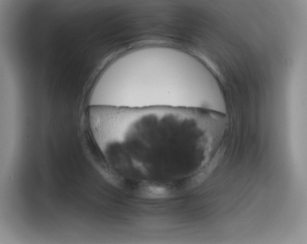 X0000114600159200910191101