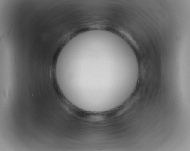 X0000114600161200910191101