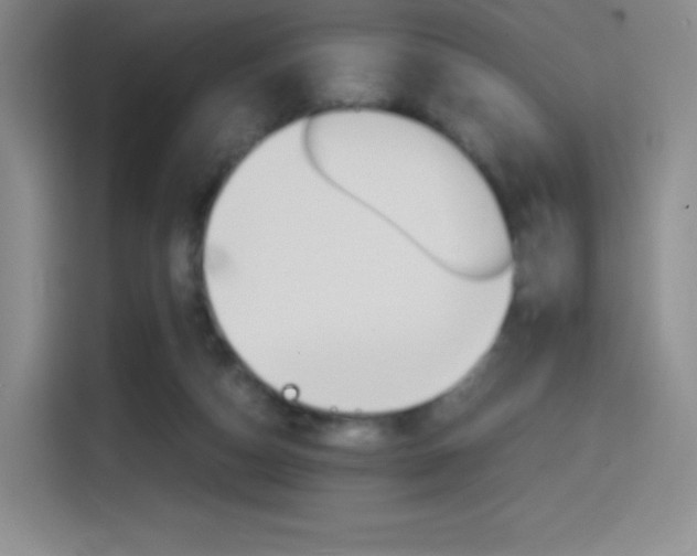 X0000114600162200910191101