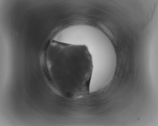 X0000114600163200910191101