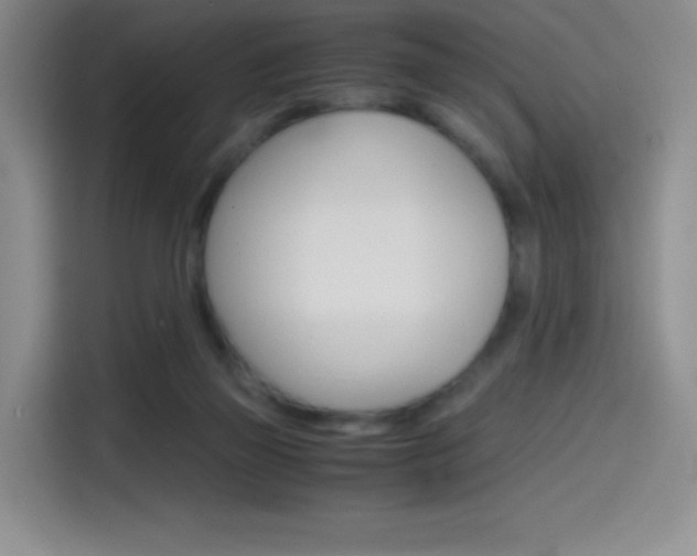 X0000114600165200910191101