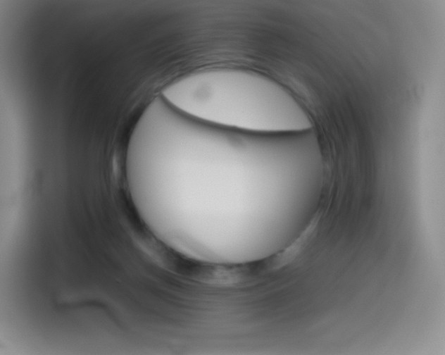 X0000114600166200910191101