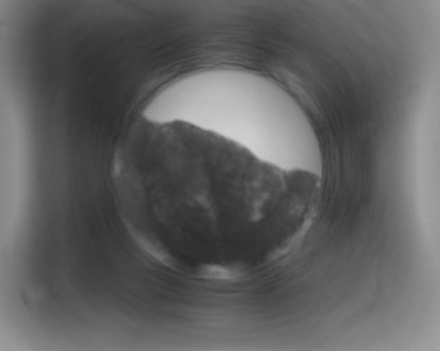 X0000114600167200910191101