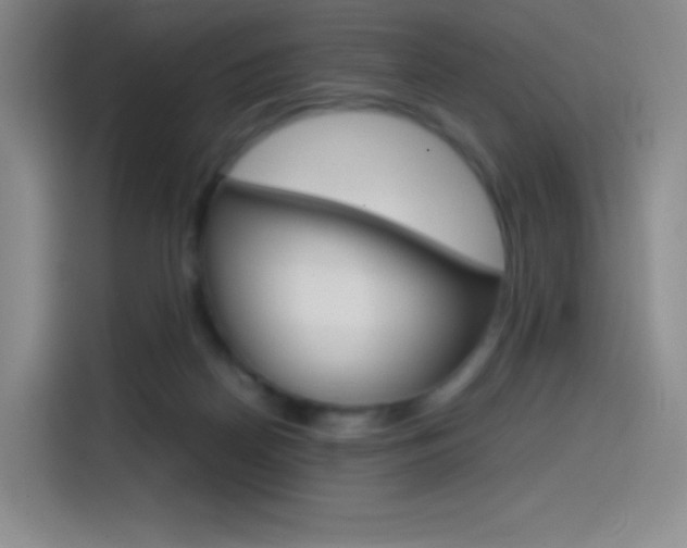 X0000114600170200910191101