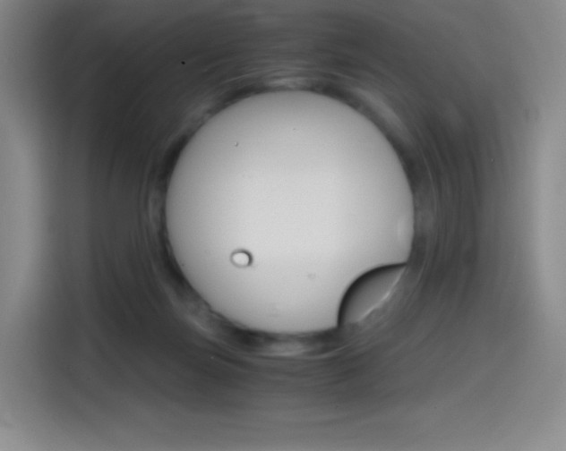 X0000114600171200910191101