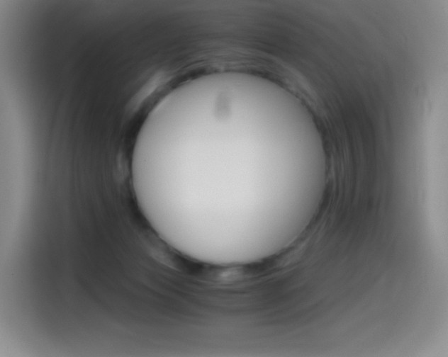 X0000114600173200910191101