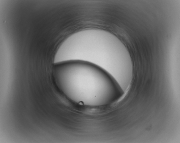 X0000114600174200910191101