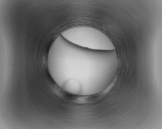 X0000114600178200910191101