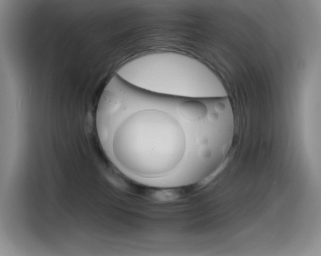 X0000114600183200910191101