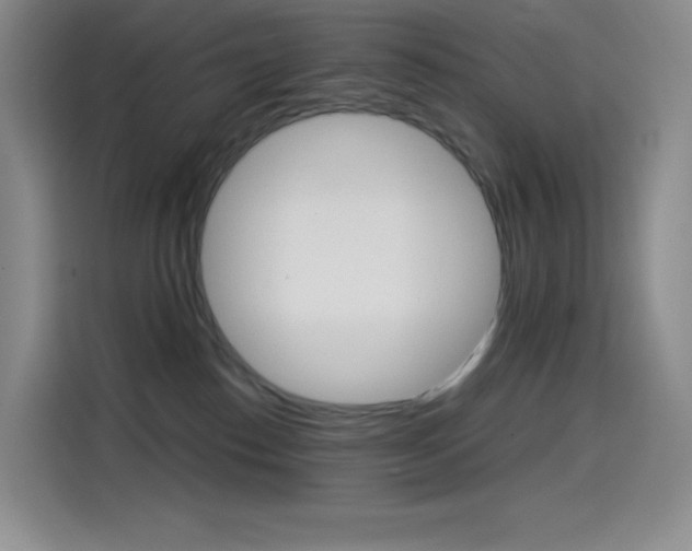 X0000114600186200910191101