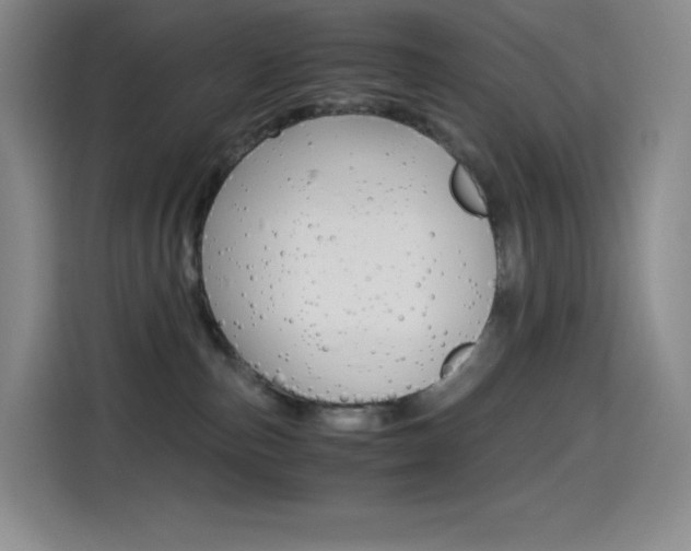 X0000114600187200910191101