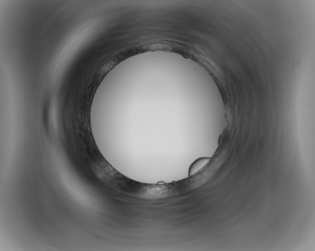 X0000114600189200910191101