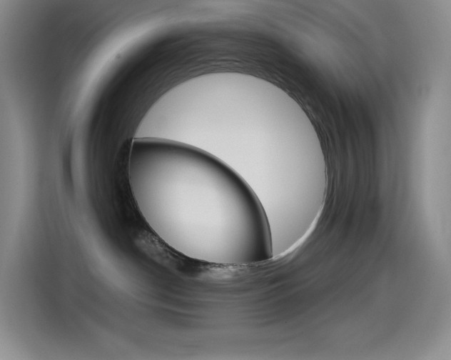 X0000114600190200910191101