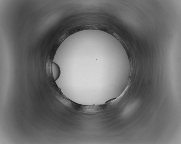 X0000114600191200910191101