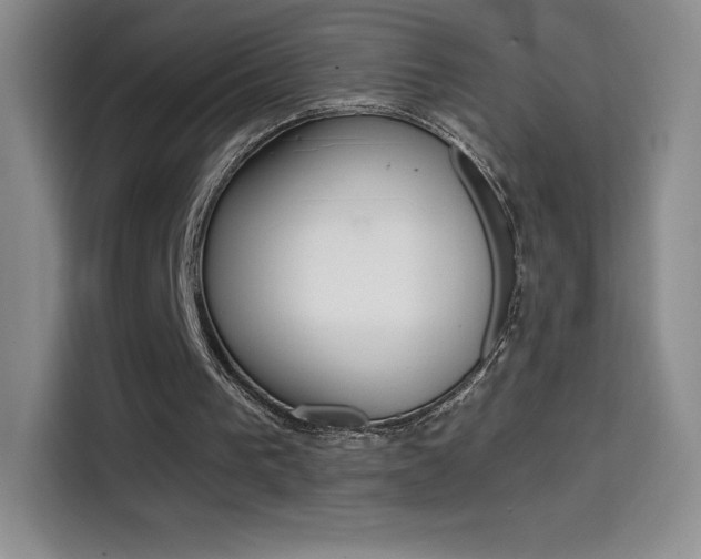 X0000114600193200910191101