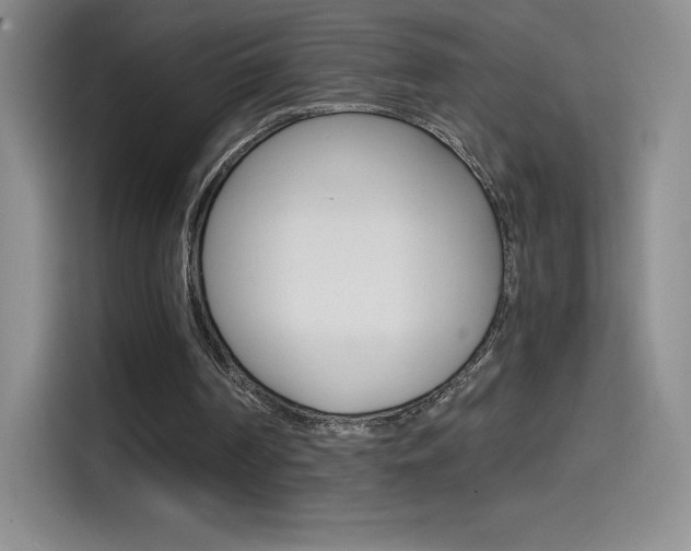 X0000114600194200910191101