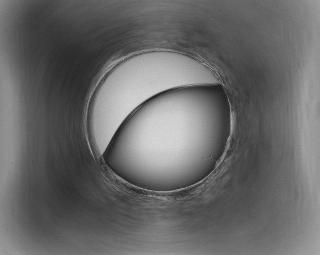 X0000114600195200910191101