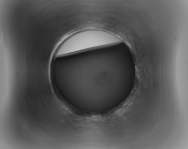 X0000114600196200910191101