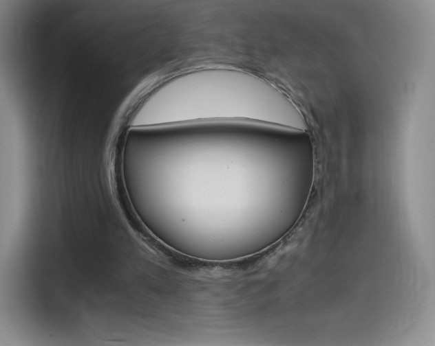 X0000114600197200910191101