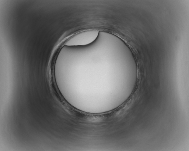 X0000114600198200910191101