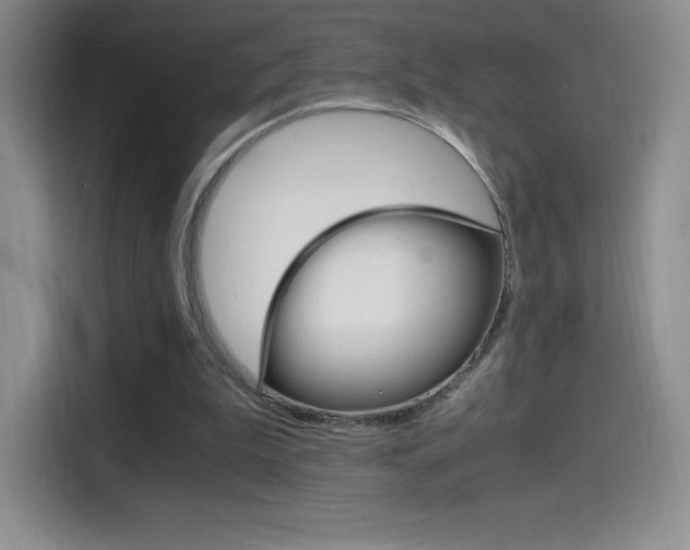 X0000114600199200910191101