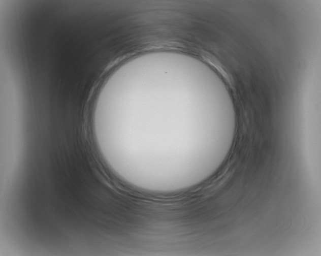 X0000114600203200910191101