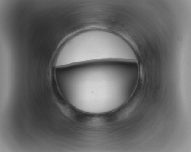 X0000114600204200910191101