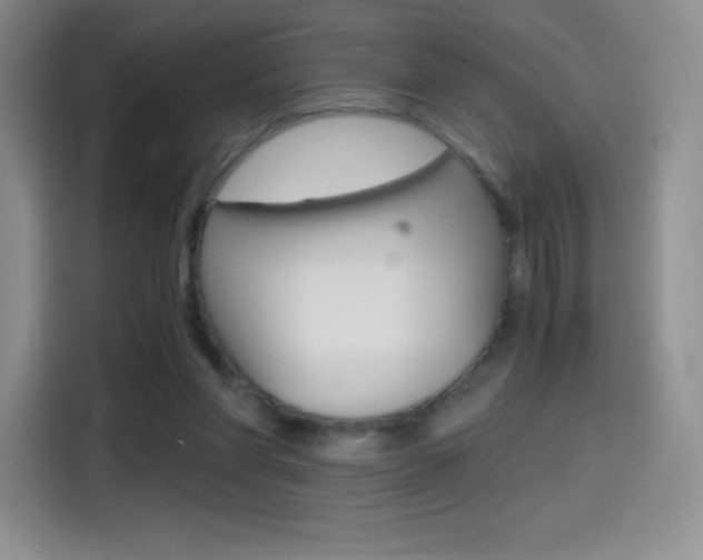 X0000114600206200910191101