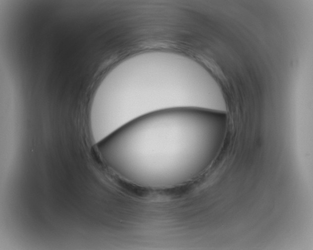 X0000114600207200910191101