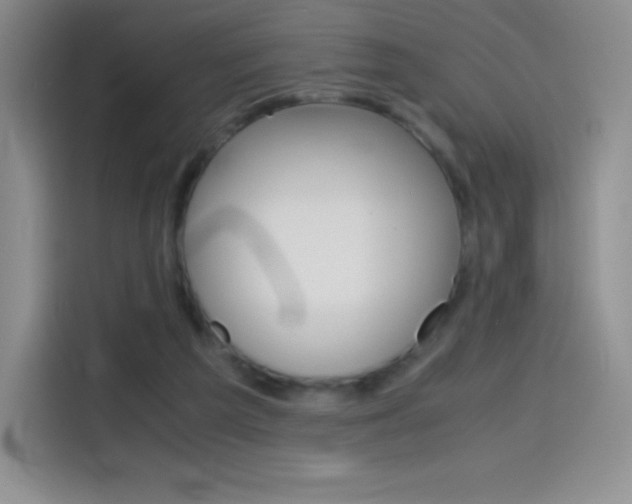 X0000114600209200910191101