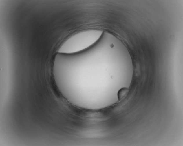 X0000114600210200910191101